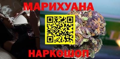 крисы Кулебаки