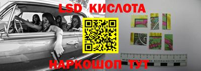 крисы Кулебаки