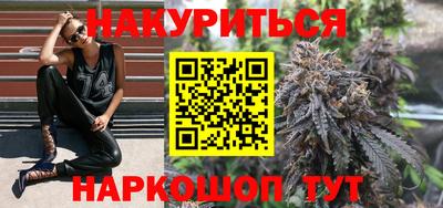 крисы Кулебаки